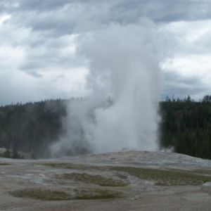 WY
