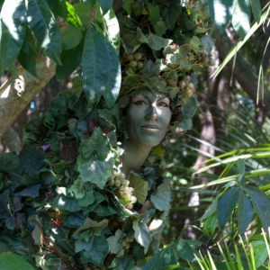 Foliage