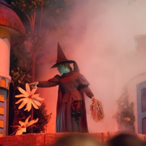 Halloween_Related_-_witch