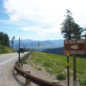 WY