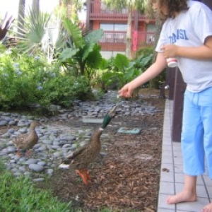 Disney_July_2005_012