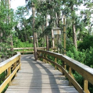 path to boat launch