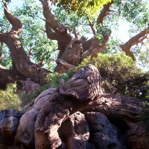 Tree of Life