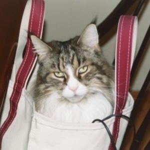 Barney_Bag