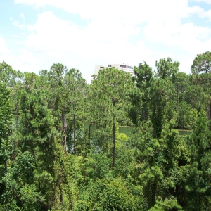 WL_cr_view