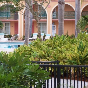 Pool view from our room in the Casitas