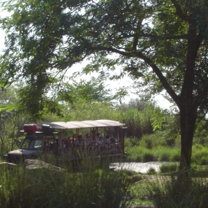 Safari Truck - 8/2003