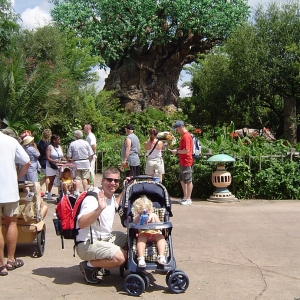 Big Tree AK - 8/2003