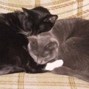 Pepper & Smokey