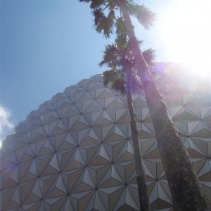 SE with palms.