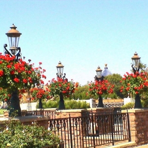 epcot