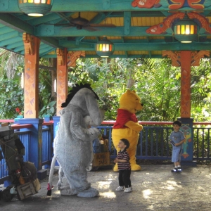animal kingdom