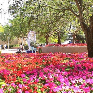 epcot