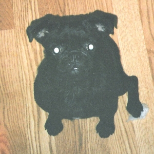 Winnifred