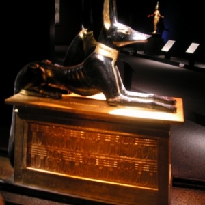 Anubis - the Egyptian god of the dead