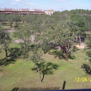 View from 5th floor