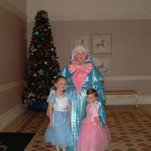 Fairy godmother