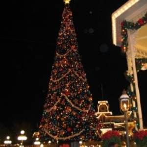 Magic Kingdom tree