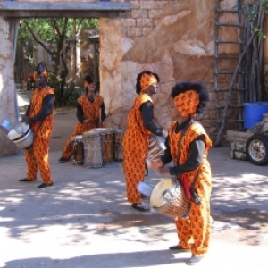 Animal Kingdom