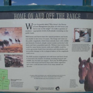 WY
