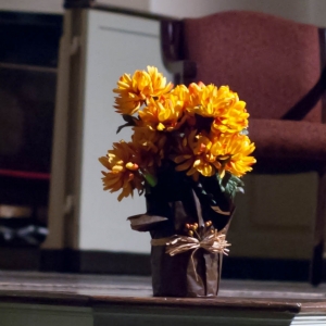 DSC_063033a