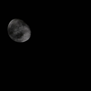 DSC_064646a