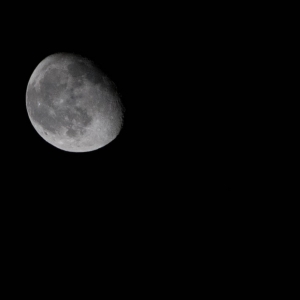 DSC_066661b
