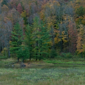 DSC_06028a