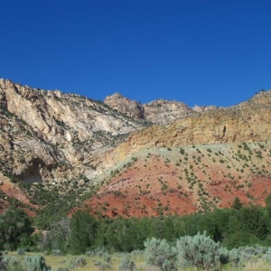 Wy