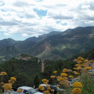 CO