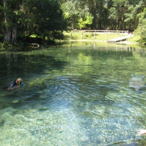 FL