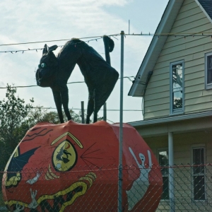 Black_Cat_and_Giant_Pumpkin