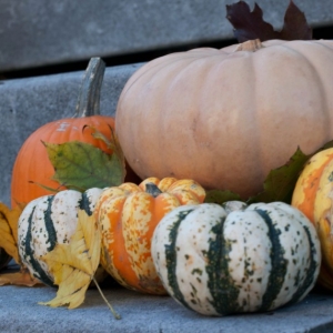Fall_Foods_Pumpkins