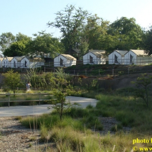 DSC07740
