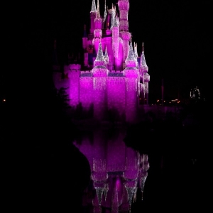 MVMCP-2011-069