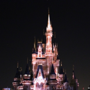 MVMCP-2011-072