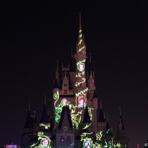 MVMCP-2011-073