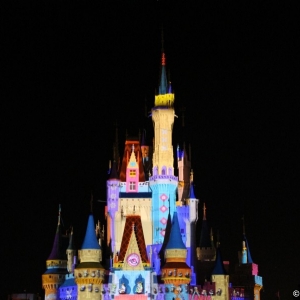 MVMCP-2011-077