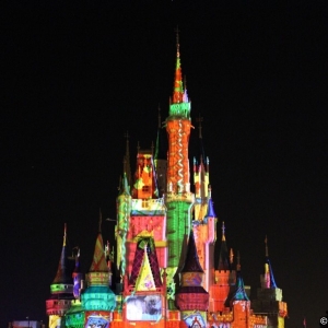 MVMCP-2011-079