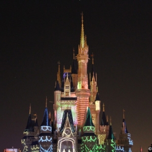 MVMCP-2011-080