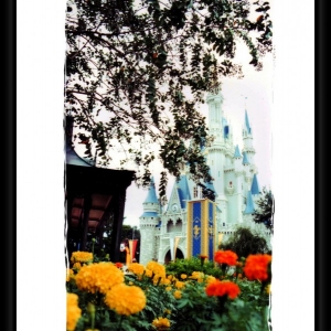 cinderella_castle1