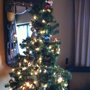 AKV_tree