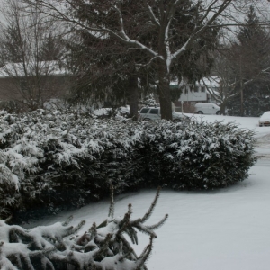 Baby_its_Cold_Outside