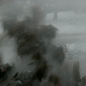 Batten_Down_the_Hatches