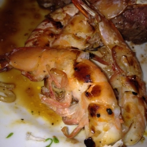 shrimp