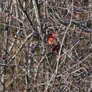 DSC_04872