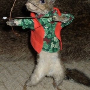 bowhunter