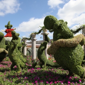 Epcot-Flower-Garden-2012-004