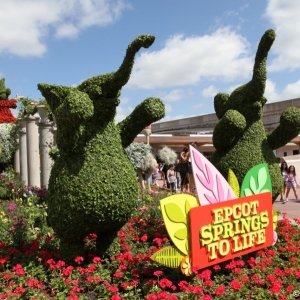 Epcot-Flower-Garden-2012-005