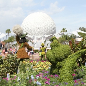 Epcot-Flower-Garden-2012-009